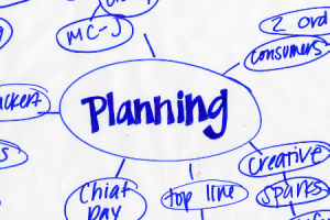 Entrepreneur Planning